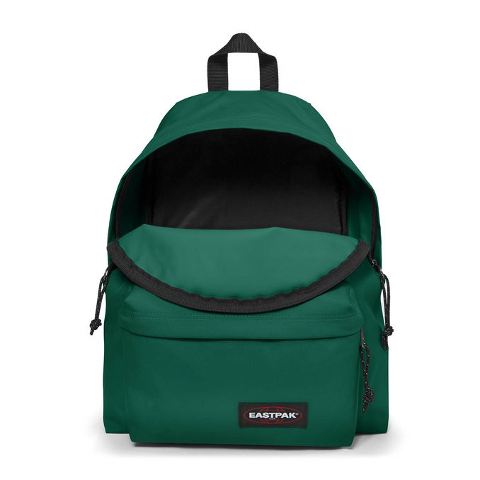 BACKPACK PADDED Unisex  Growing Green