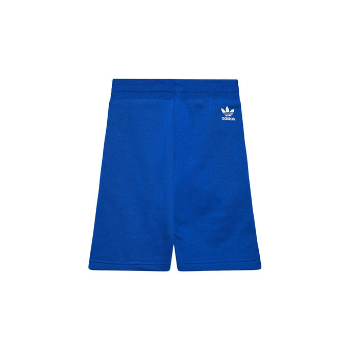 BERMUDA TREFOIL WHEEL Baby Royal
