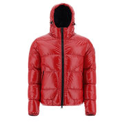 BOMBER IN GLOSS Man Barolo  BOMBER IN GLOSS Man Barolo