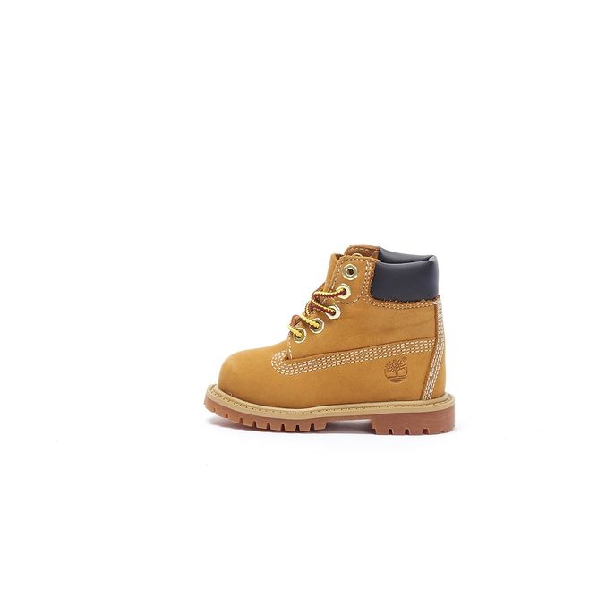 infant wheat timberlands