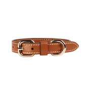 Collare XS in pelle Pet Tabacco Collare XS in pelle Pet Tabacco