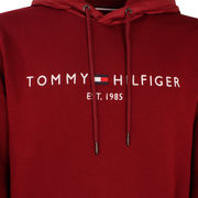 TOMMY HILFIGER WAVY FLAG STRIPE HOODED SWEATSHIRT Man Ecru Desert Sky  Primary Red