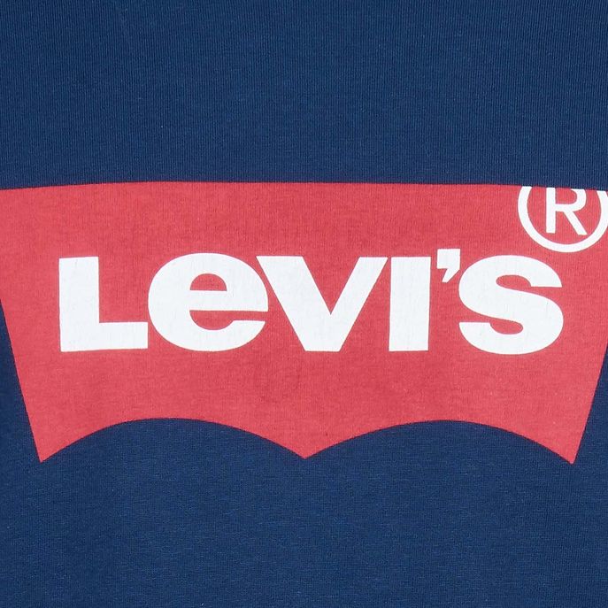 GRAPHIC SETIN T-SHIRT Man Blue Red