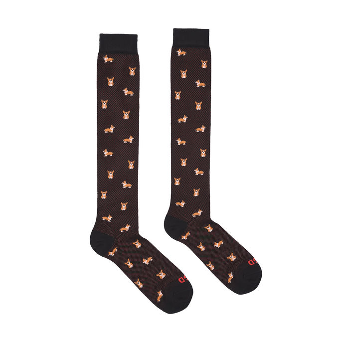 LONG SOCKS CORGI Man Black