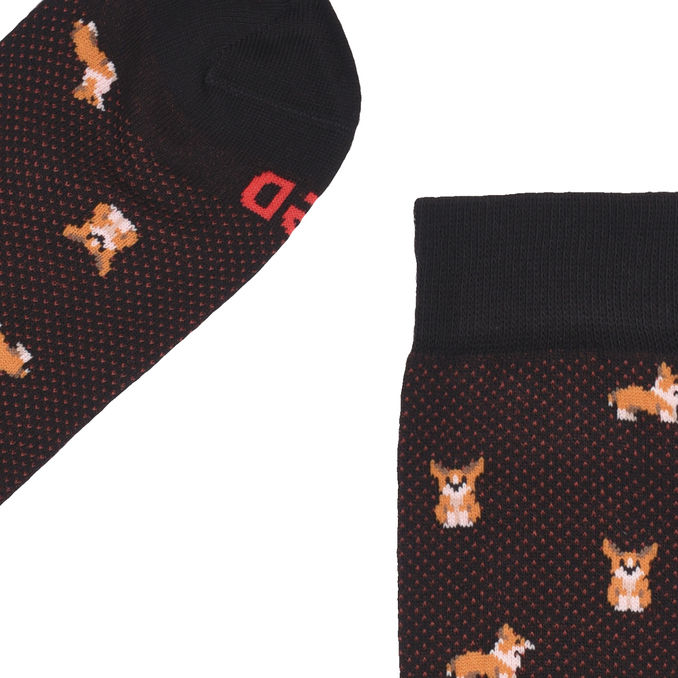 LONG SOCKS CORGI Man Black