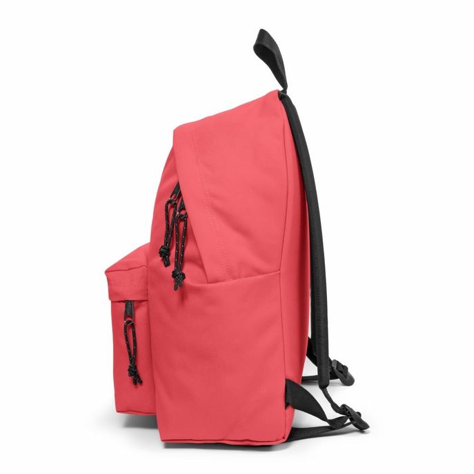 eastpak rosa