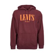 Levis serif hoodie sale