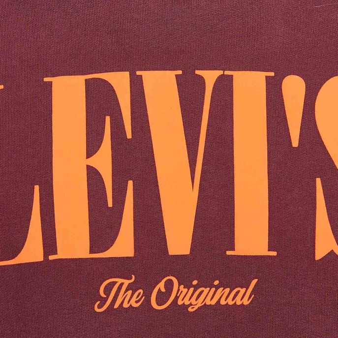 RELAXED GRAPHIC SERIF LOGO HOODIE Man Bordeaux Orange