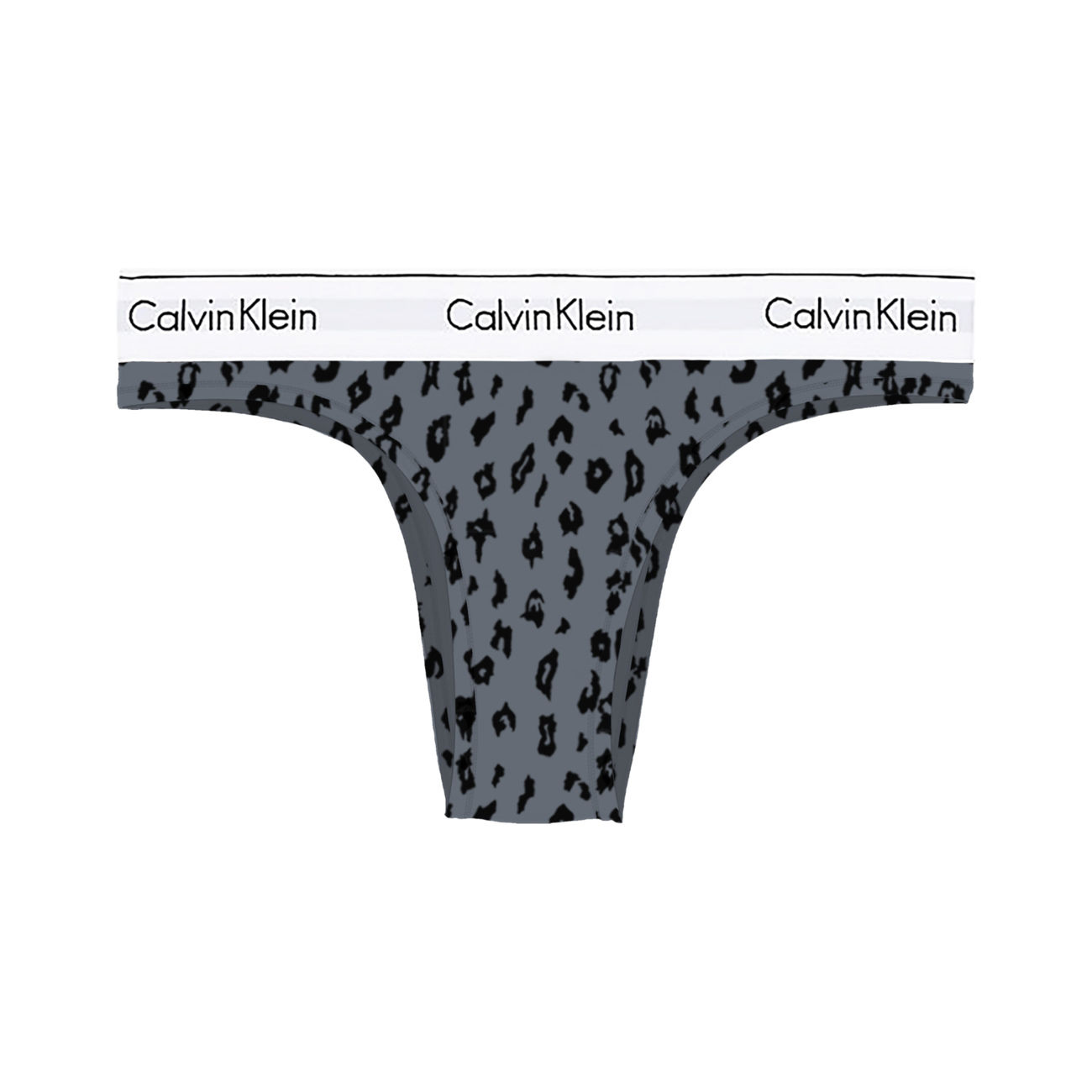 SPOTTED CLASSIC BRIEFS Woman Pewter