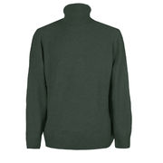 WOOL TURTLENECK Man Green 